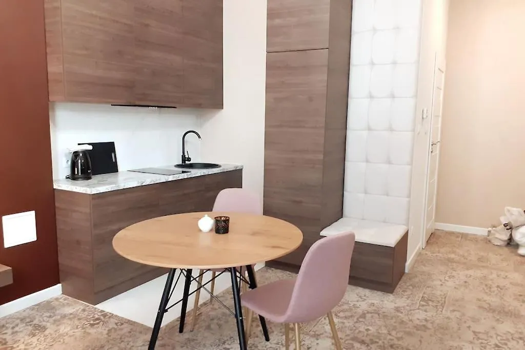 Luxury Apartment - Rakowicka 6 Krakau Polen