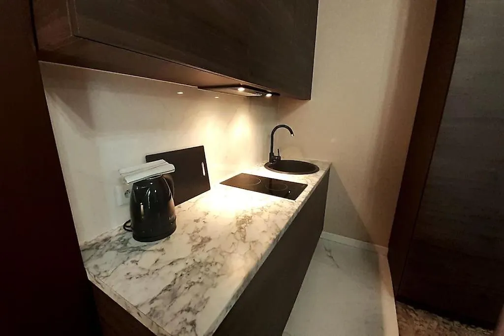 Luxury Apartment - Rakowicka 6 Krakow